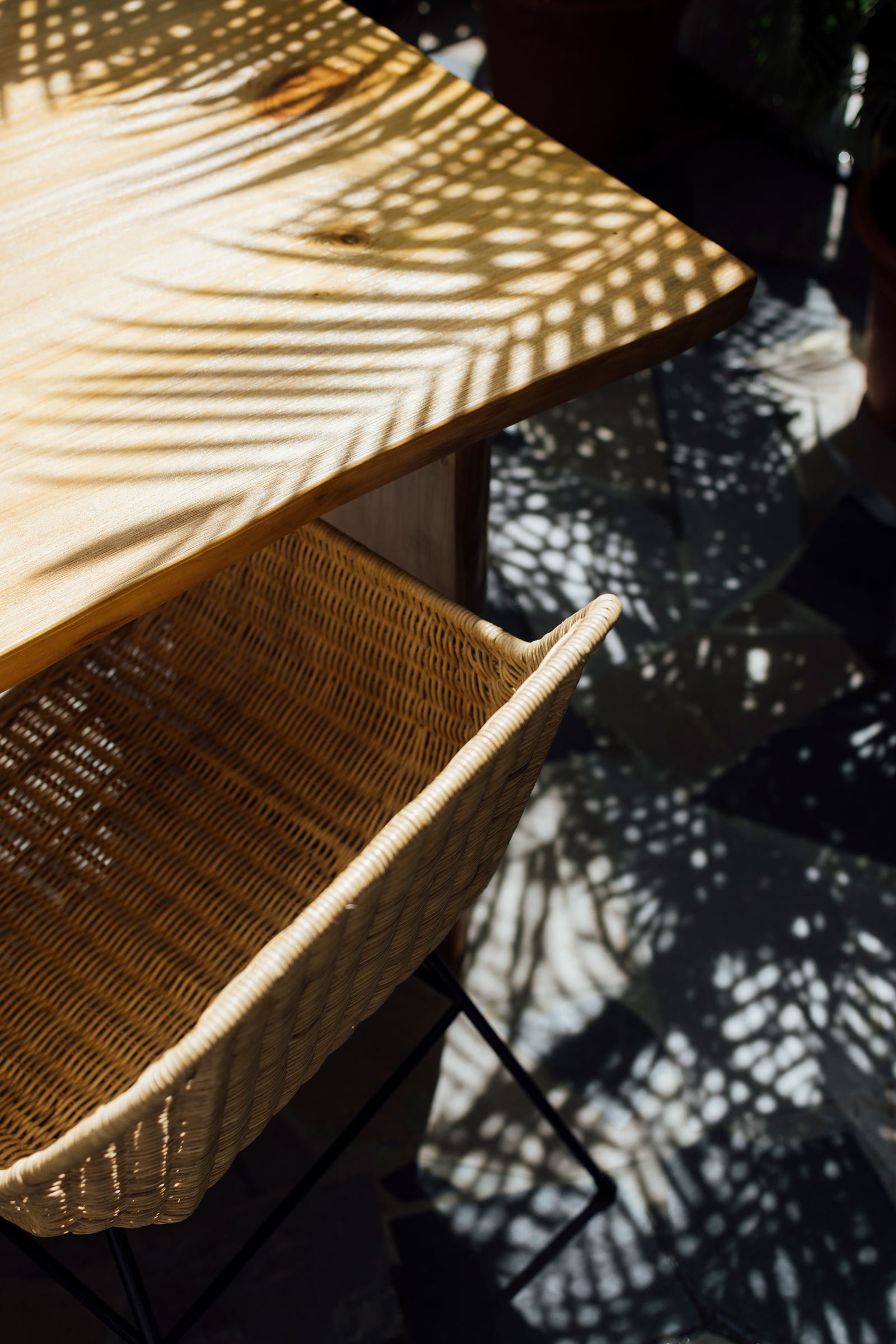 热带公寓丨新加坡丨Studio Metanoia-55