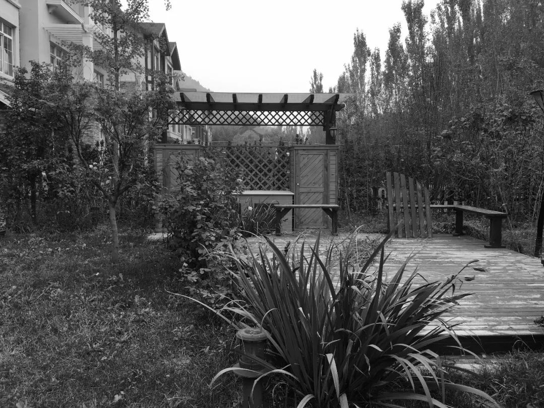 北京密云 450㎡花园改造，四季美景尽收眼底-12