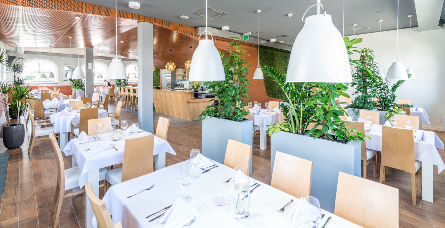 波兰老年医疗酒店综合体设计-45