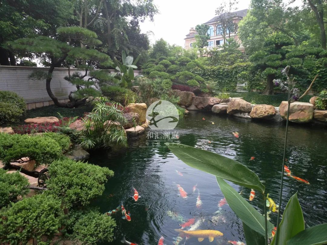 画龙点睛——庭院植物搭配解析-13