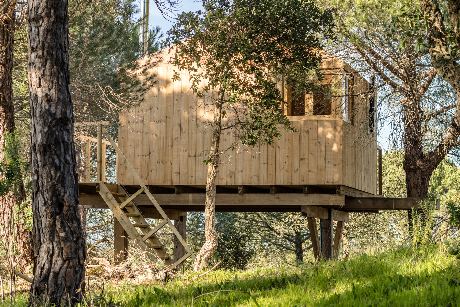 葡萄牙松树中筑巢树屋-12