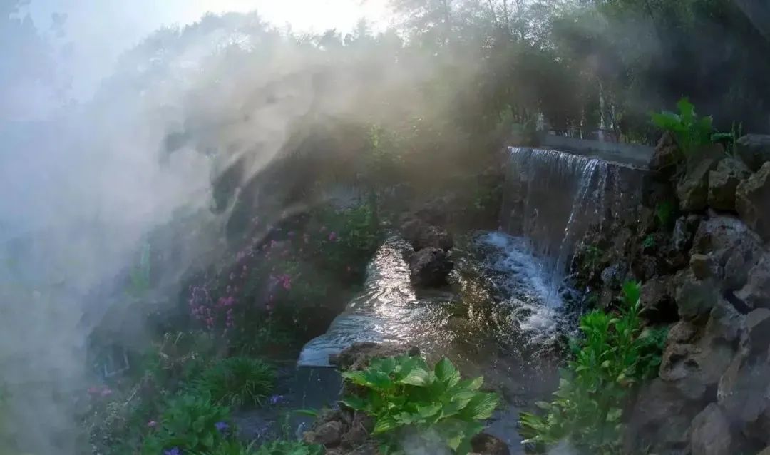 三棵树庄园 | 摄影家的心灵秘境-55