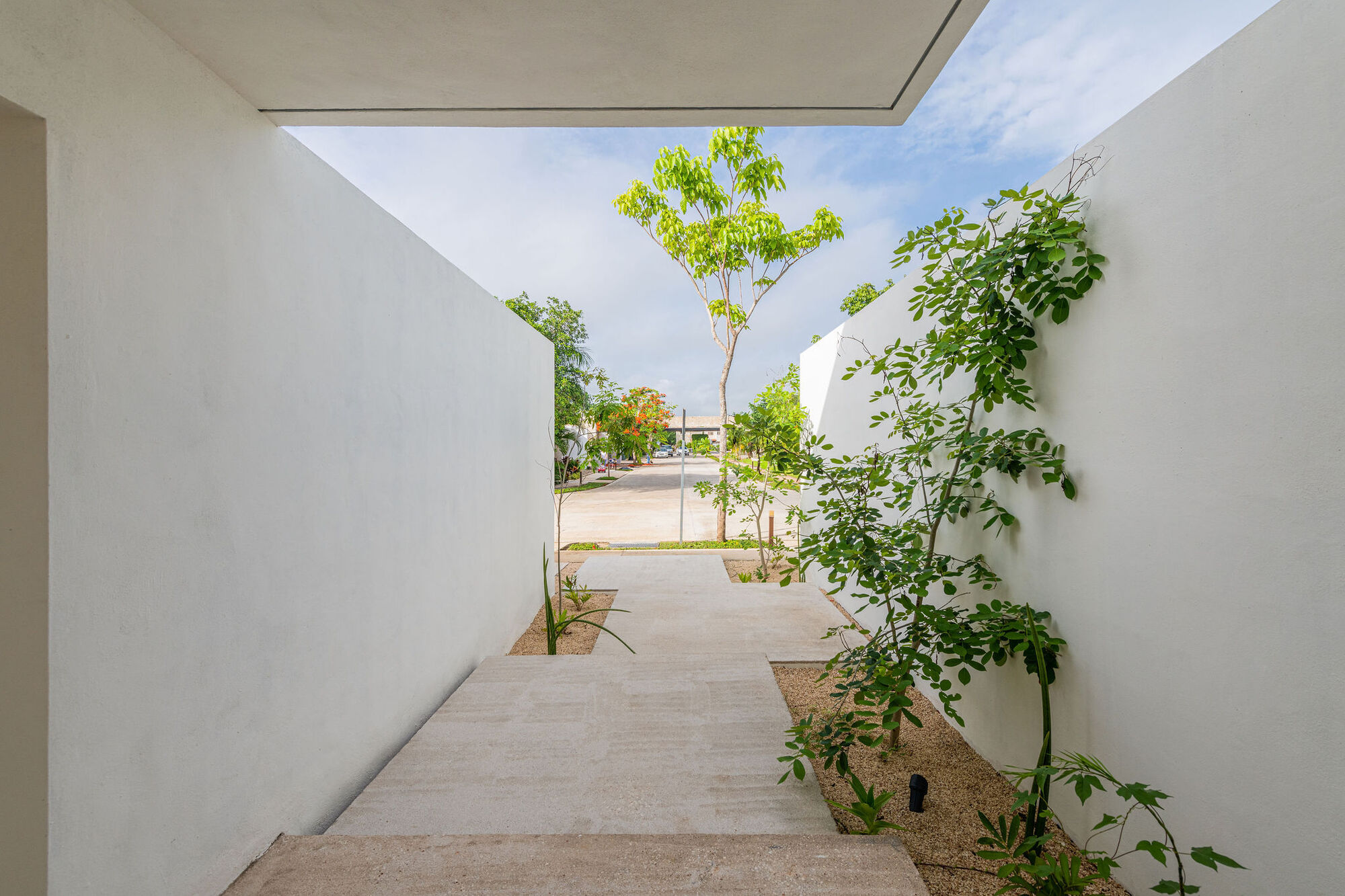 纳萨科大厦丨墨西哥-11