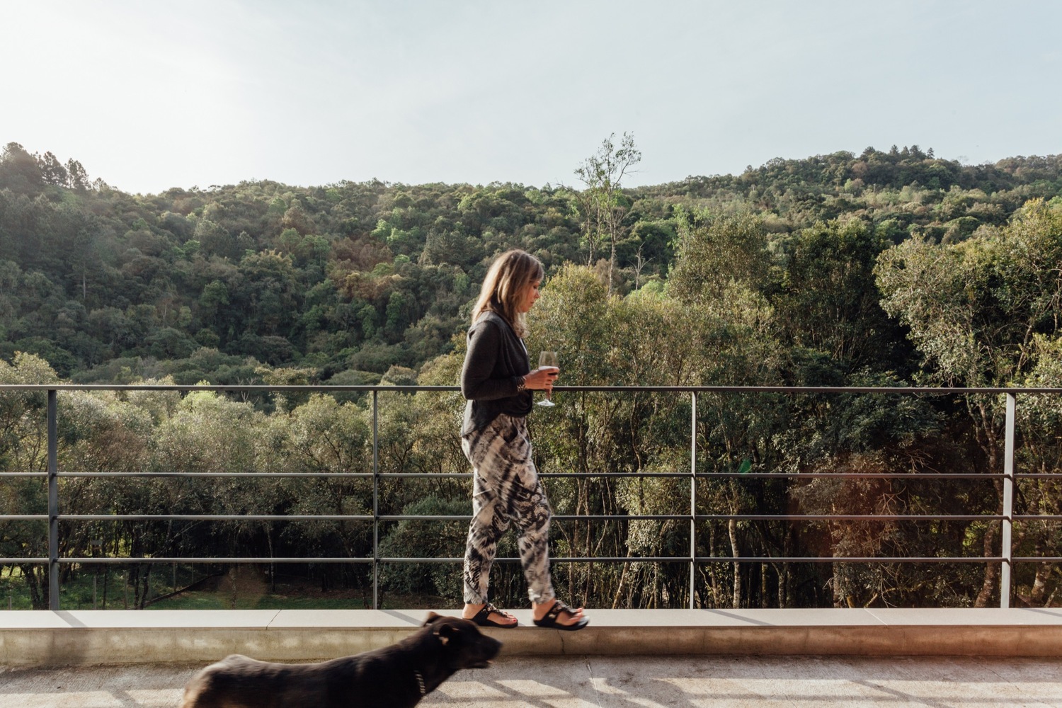 巴西佩雷拉拉瓦兹住宅-25