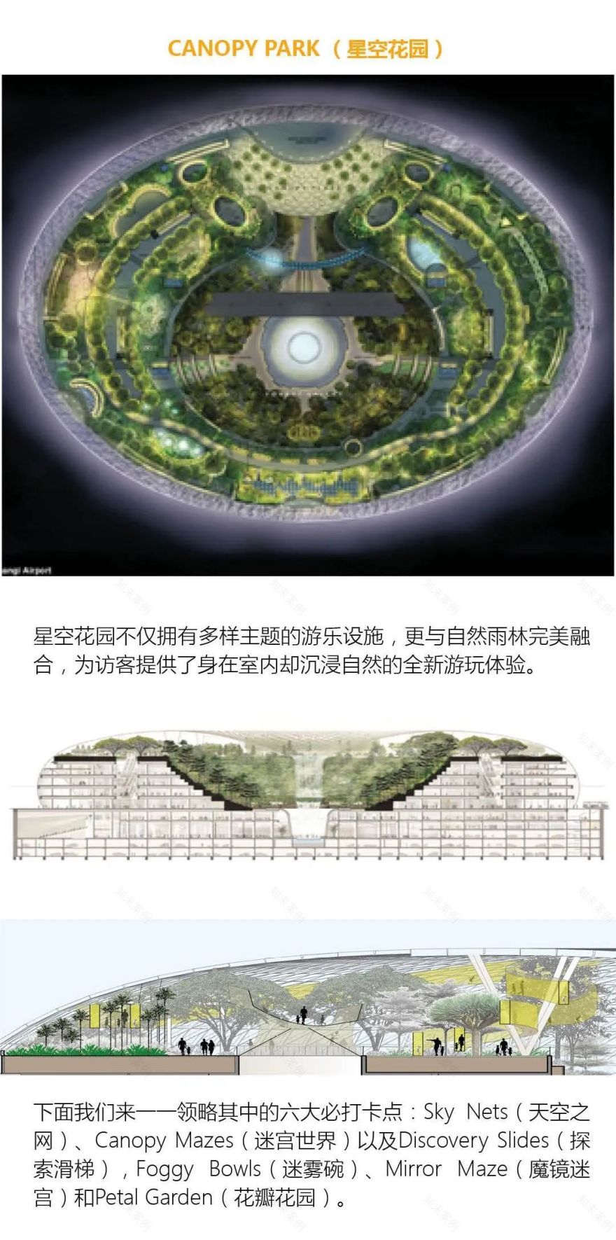 RSP 全球地标建筑设计丨阿联酋丨RSP 建筑师事务所-3