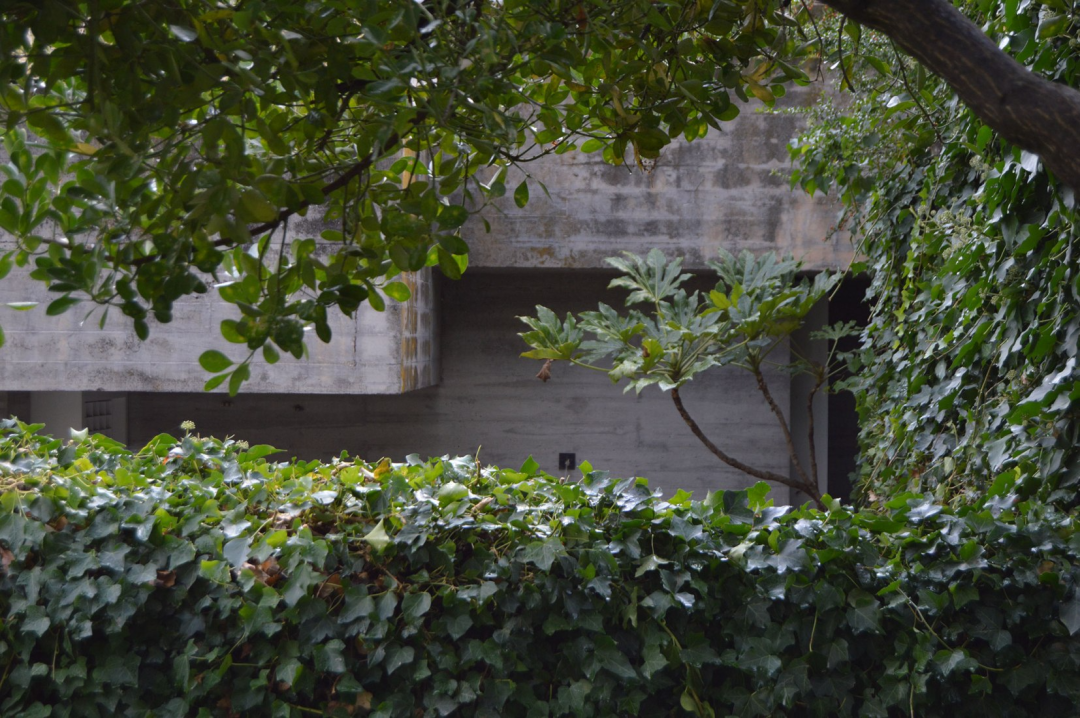 皇家国家剧院丨英国伦敦丨Denys Lasdun-42