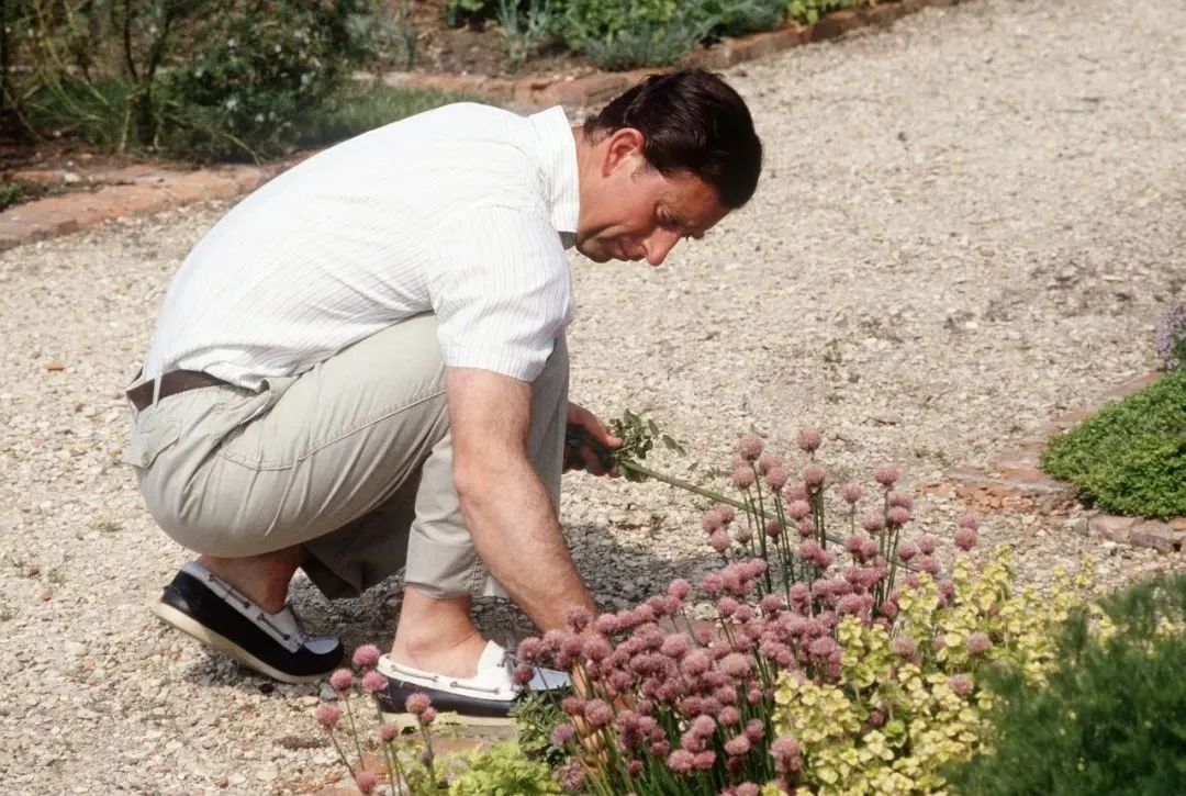 海格罗夫庄园 | 查尔斯王子的世外桃源-279