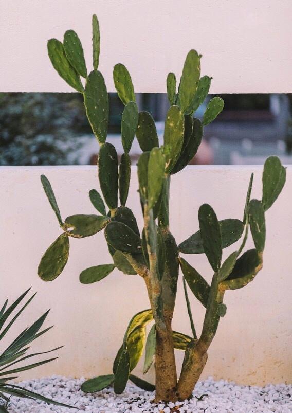 
『 有客 . 拾己 』| 民宿 客栈 -4