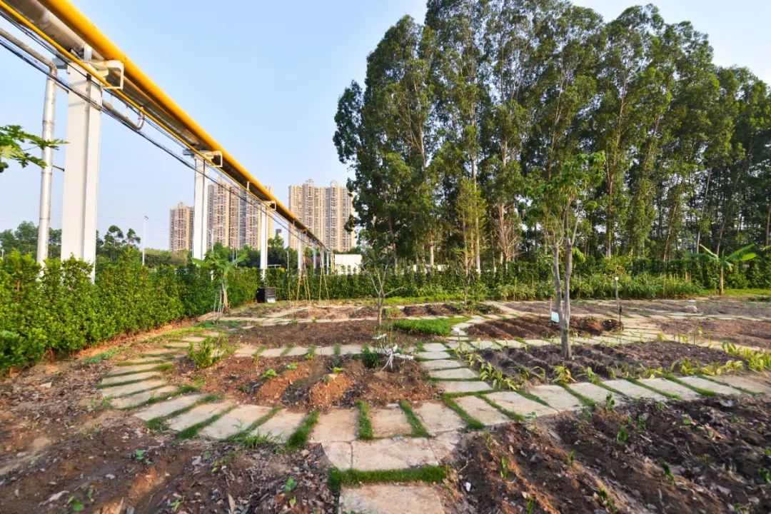 广汽丰田生态园·工业绿色风景线丨普邦设计-39