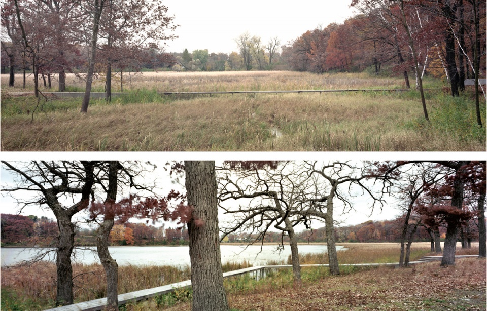 马里恩湖畔住宅 | 生态修复与艺术交融-40