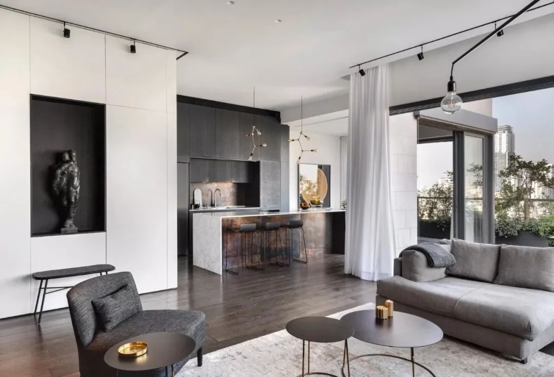 Aviram Kushmirski 打造轻奢风空间，黑白色调与实木地板的完美搭配-102
