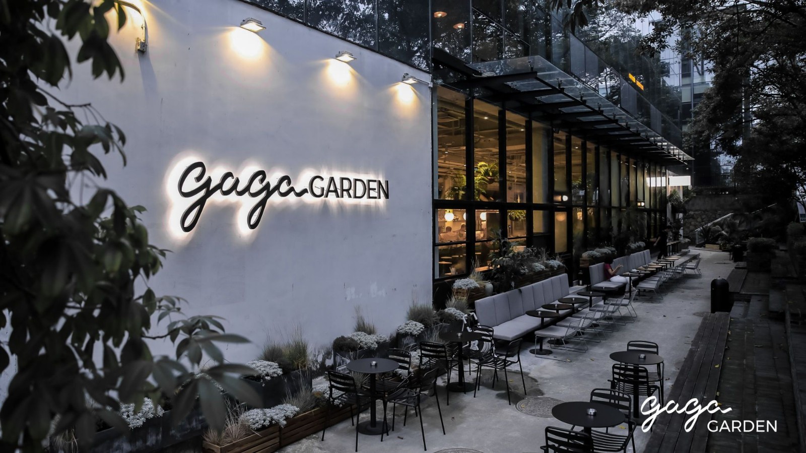 意外走红的"gaga Garden" | 旧桌布局新风貌-14