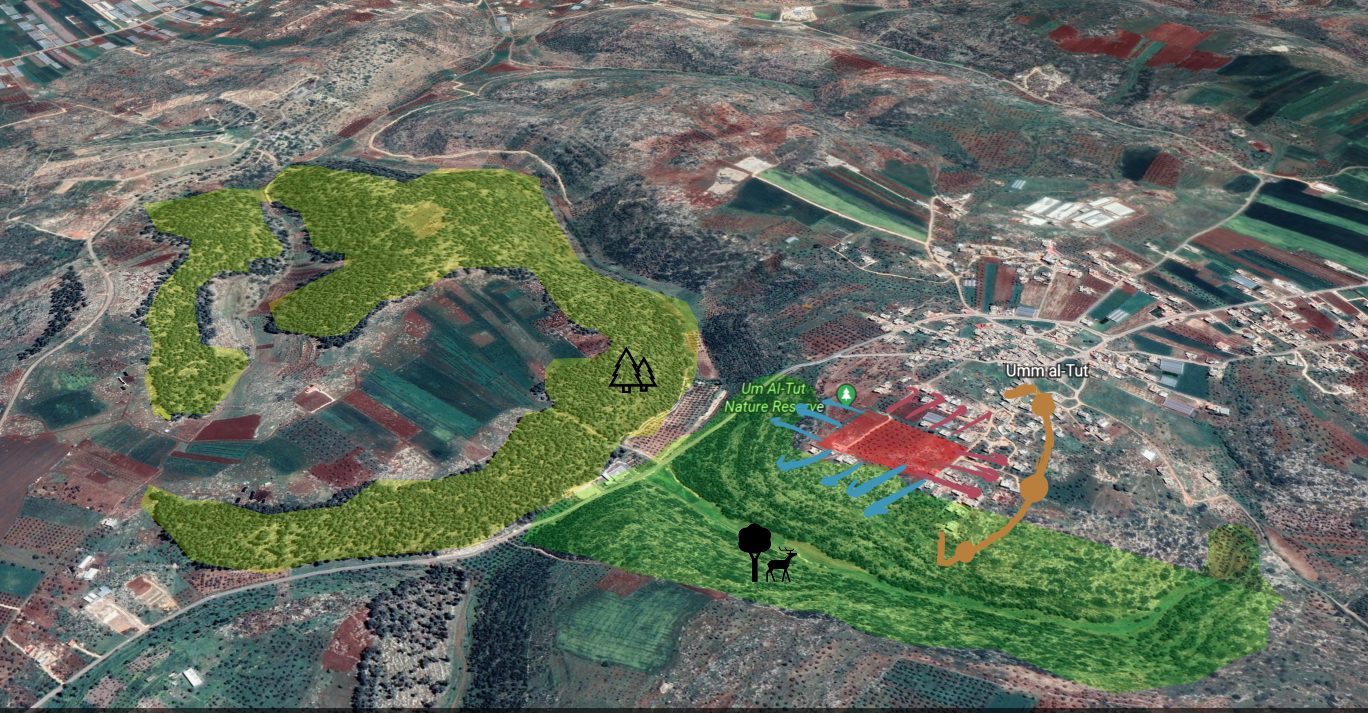 巴勒斯坦自然保护中心-12