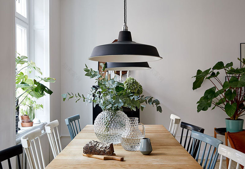 斯德哥尔摩黑白公寓,绿植细节打造舒适空间-6