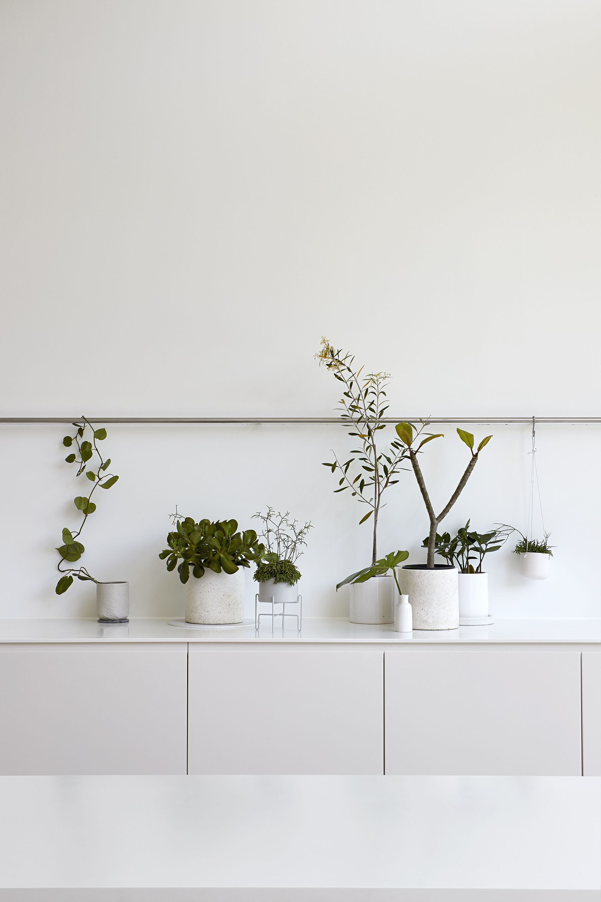 澳大利亚现代简约之卡戴拉之家(2019)(studiofour)设计-31