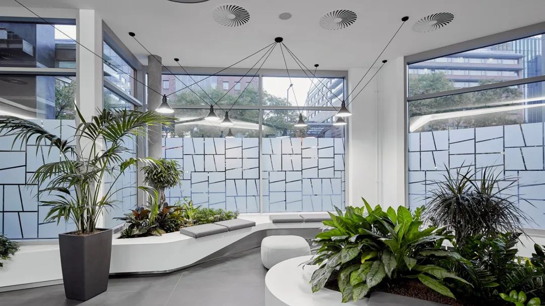 布达佩斯 EY 办公室 | 绿色社交工作空间-8