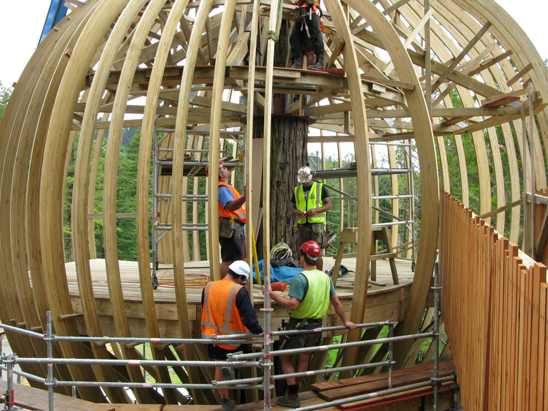 树屋餐厅 | 融入自然的梦幻空间-24