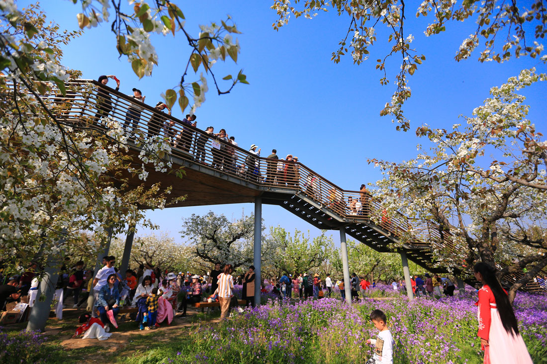 宿迁三台山花田织锦丨中国宿迁丨土人设计（Turenscape）-41