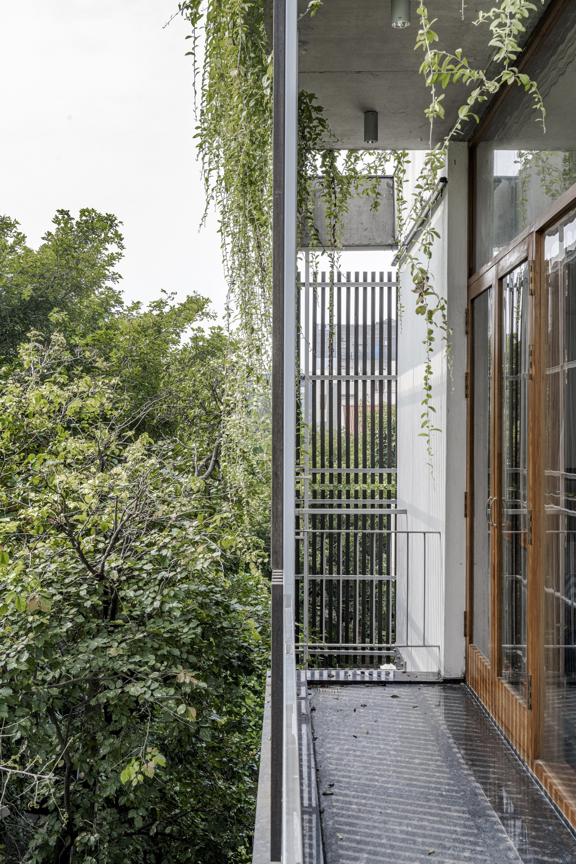 公园旁的房屋丨印度班加罗尔丨STUDIO MOTLEY-32