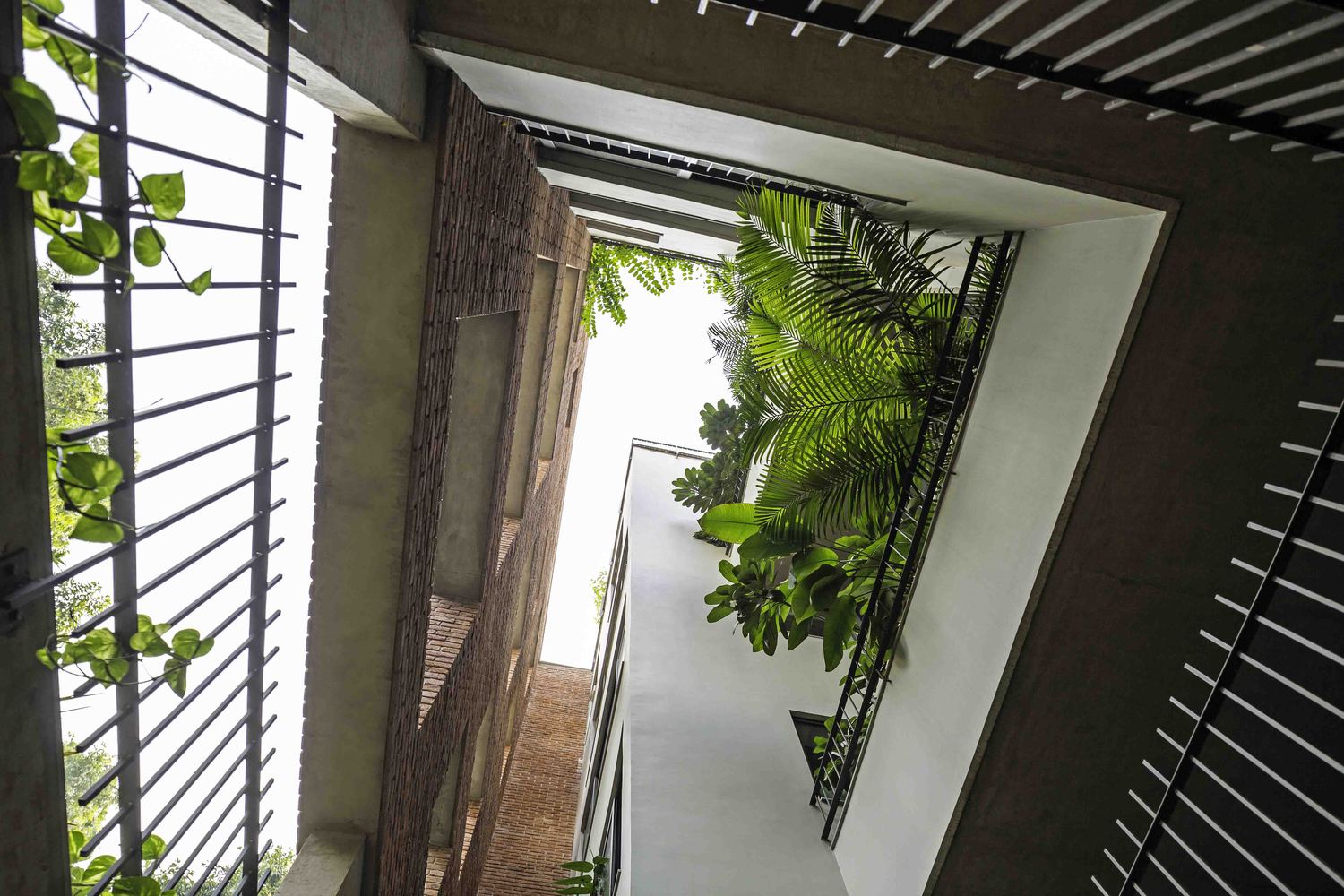 砖墙面纱 · 新德里拥挤社区中的宁静绿洲-62