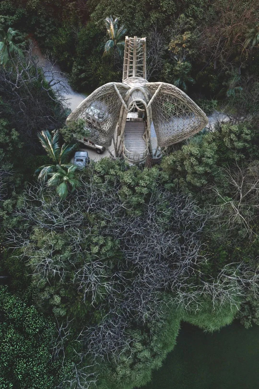 动物灵感建筑丨Thilina Liyanage-19