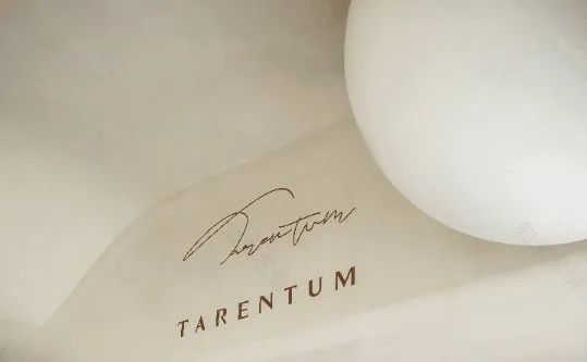 TARENTUM 萄木·Café BAR丨中国深圳丨RBD-13