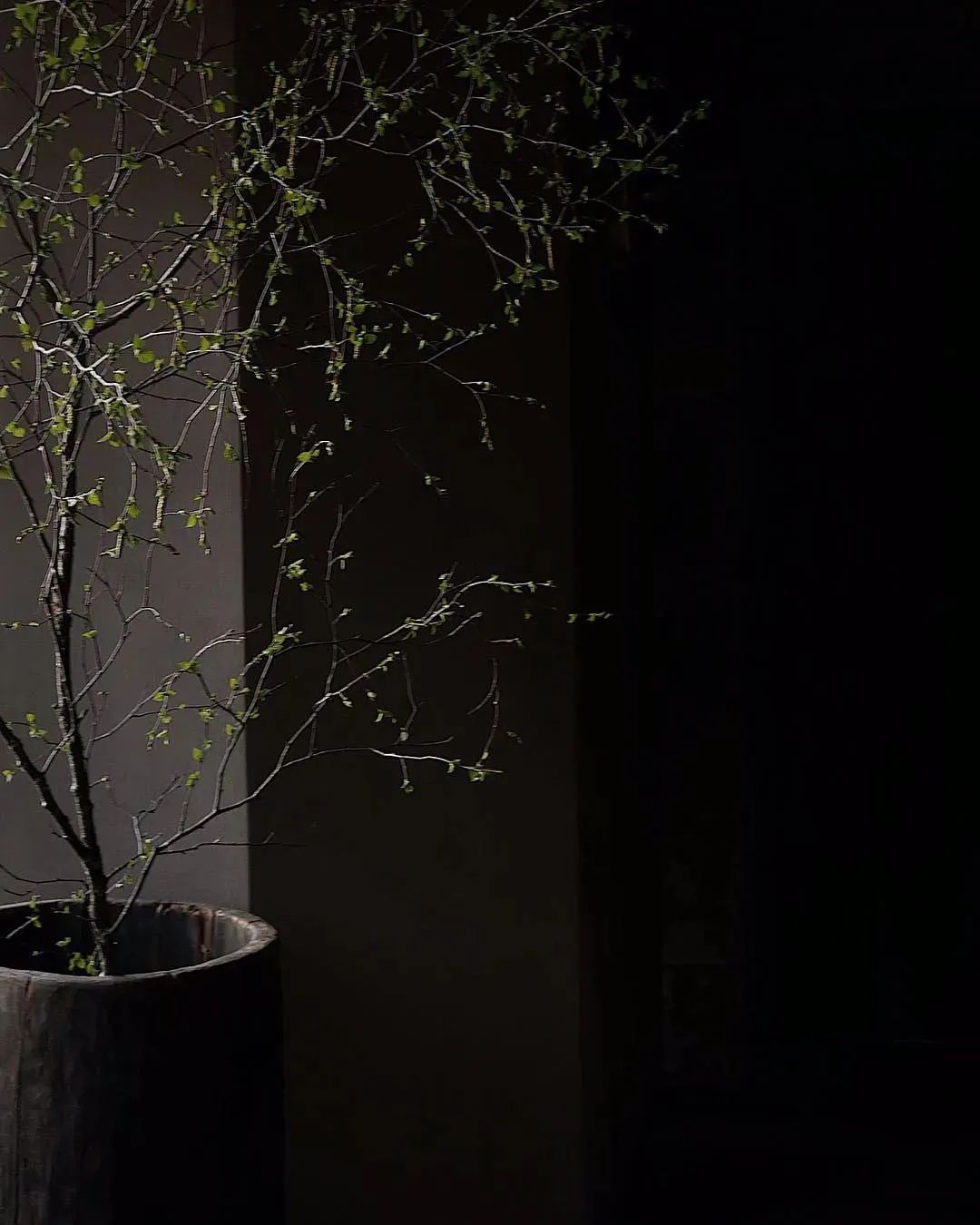 西方侘寂美学大师 | 阿塞尔·维伍德的设计哲学-334