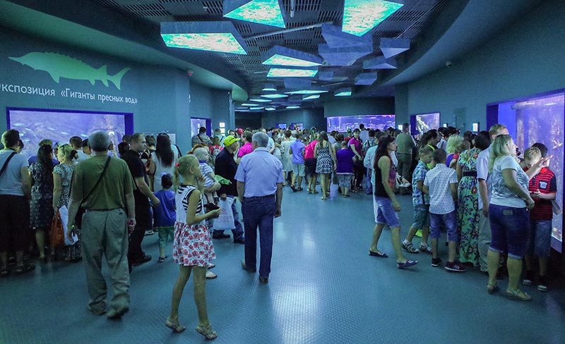 “Moskvarium”海洋馆丨俄罗斯莫斯科丨Aqua Logo Engineering-43