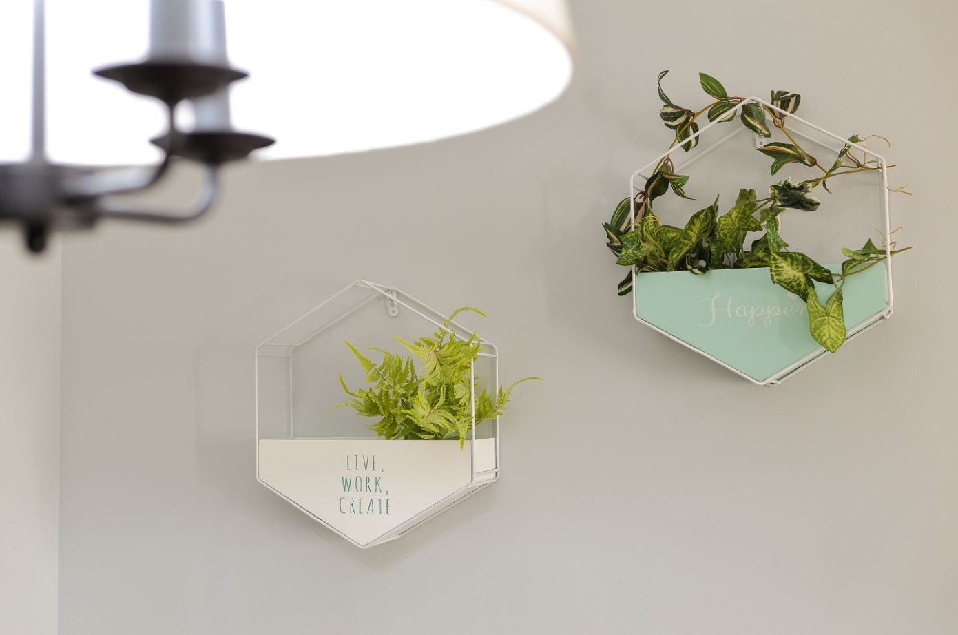 AMO 设计 | ​专属于你我的青葱自白-0