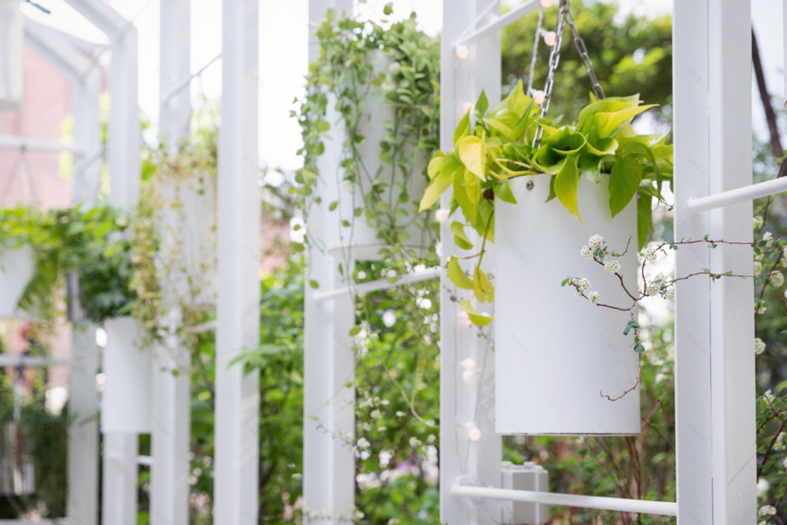 城市公寓中的“小森林”-6