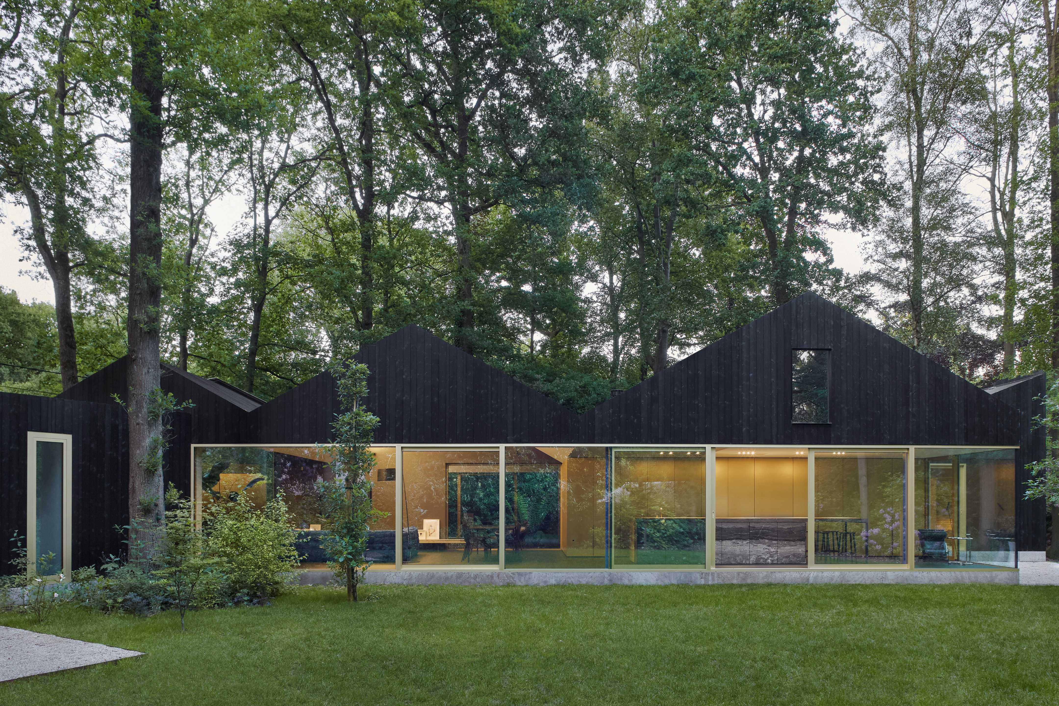 住在树林里丨比利时丨BASIL architecture-20