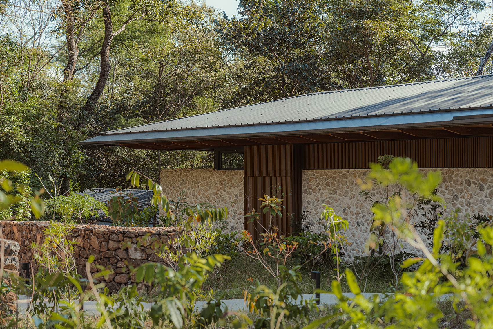 Rio Perdido西侧小屋丨哥斯达黎加丨Studio Saxe（建筑）,Dania Saragovia（室内）-97