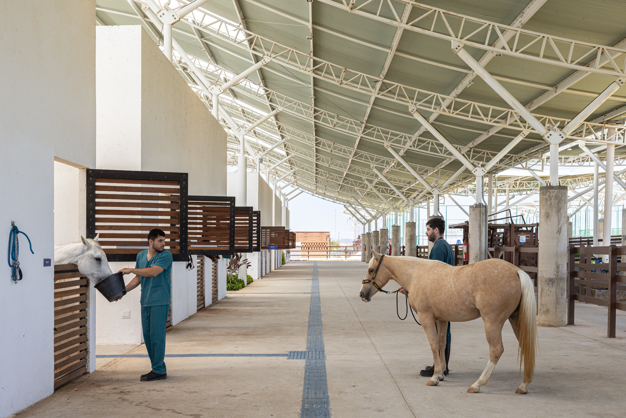 Unileão 兽医学院医院丨巴西丨Lins Arquitetos Associados-25