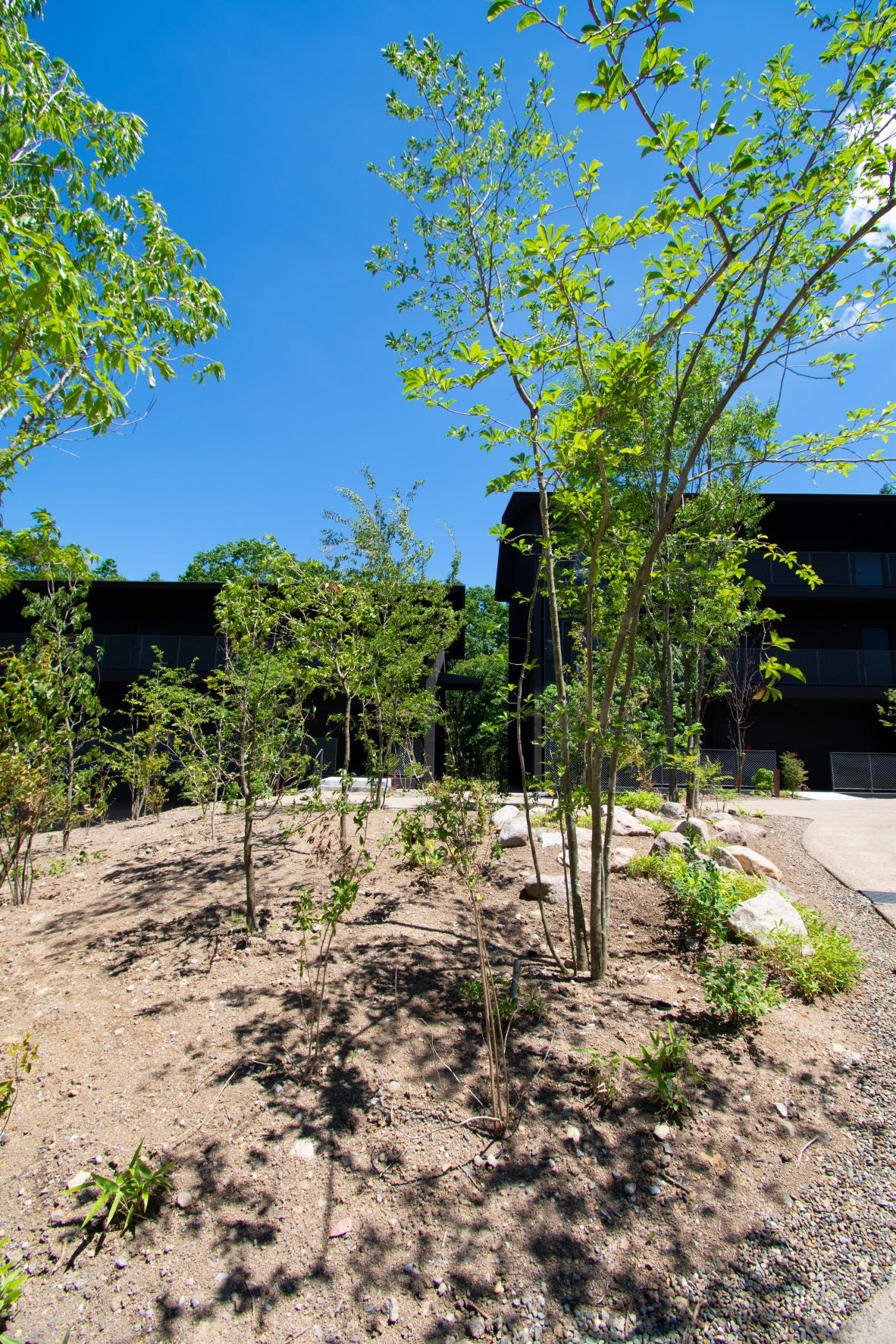 界·由布院丨日本丨隈研吾建筑都市设计事务所（kkaa）-139