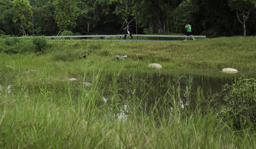 重焕生机的土地·深圳光明虹桥1958生态公园丨中国深圳丨自组空间-51