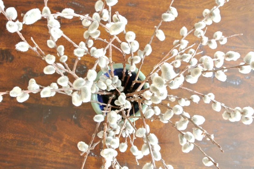 第十西街重新设计丨blog  the redesign company-34