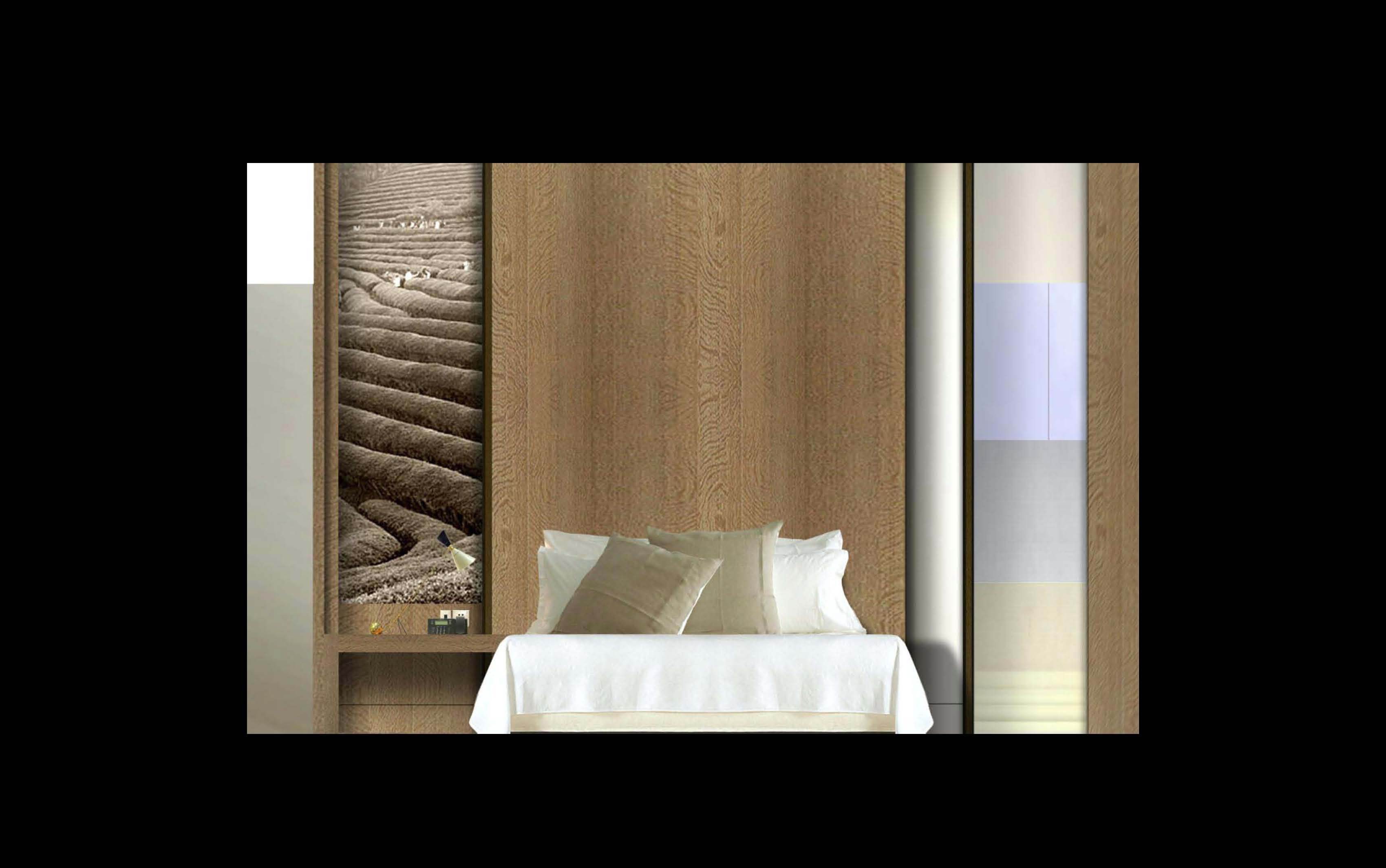 成都君悦酒店方案概念设计-2-12