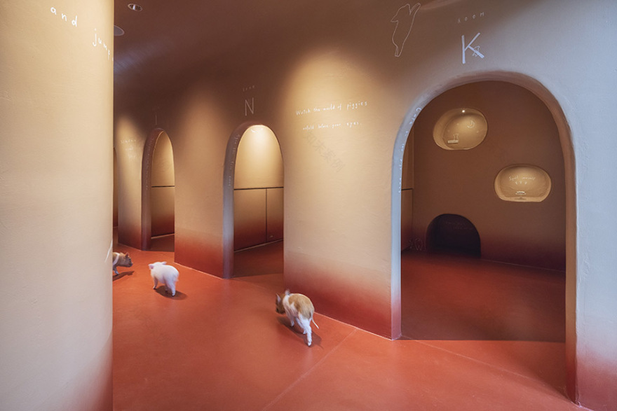 东京 Pignic 咖啡厅丨日本东京丨KAMITOPEN-3