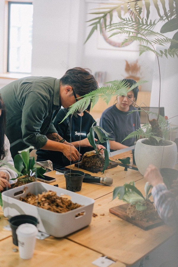 CornerGreen植角|植栽教學・森學【鹿角蕨居家佈置及上板課程】體驗工作坊-9