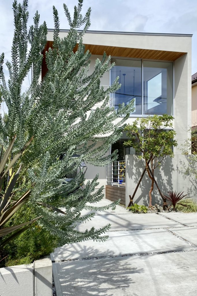 葉山の住宅／House in Hayama丨日本神奈川丨hm + architects一级建筑士事务所-17