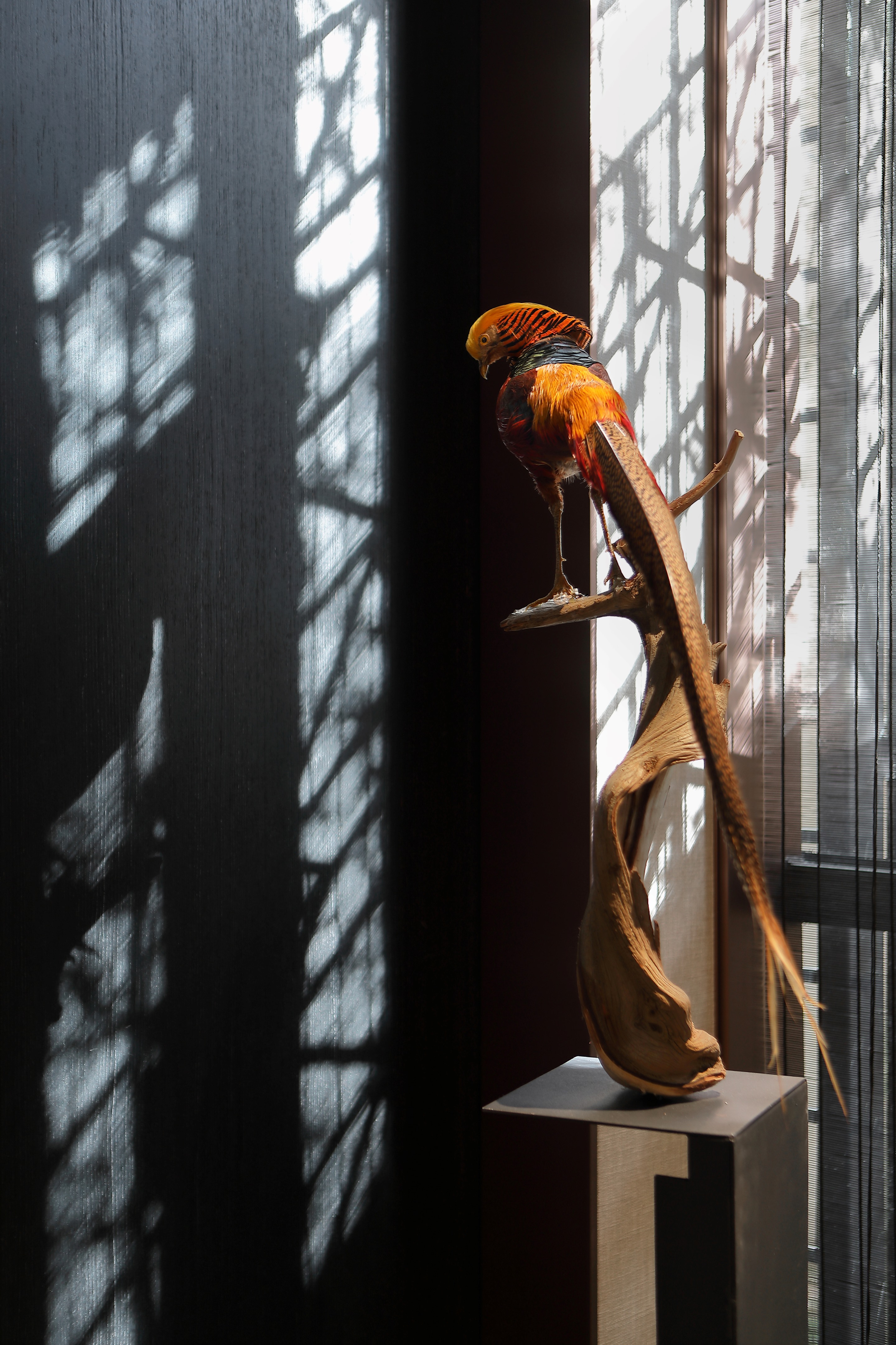 温润如玉,郑州宝龙珑玺售楼处设计-32