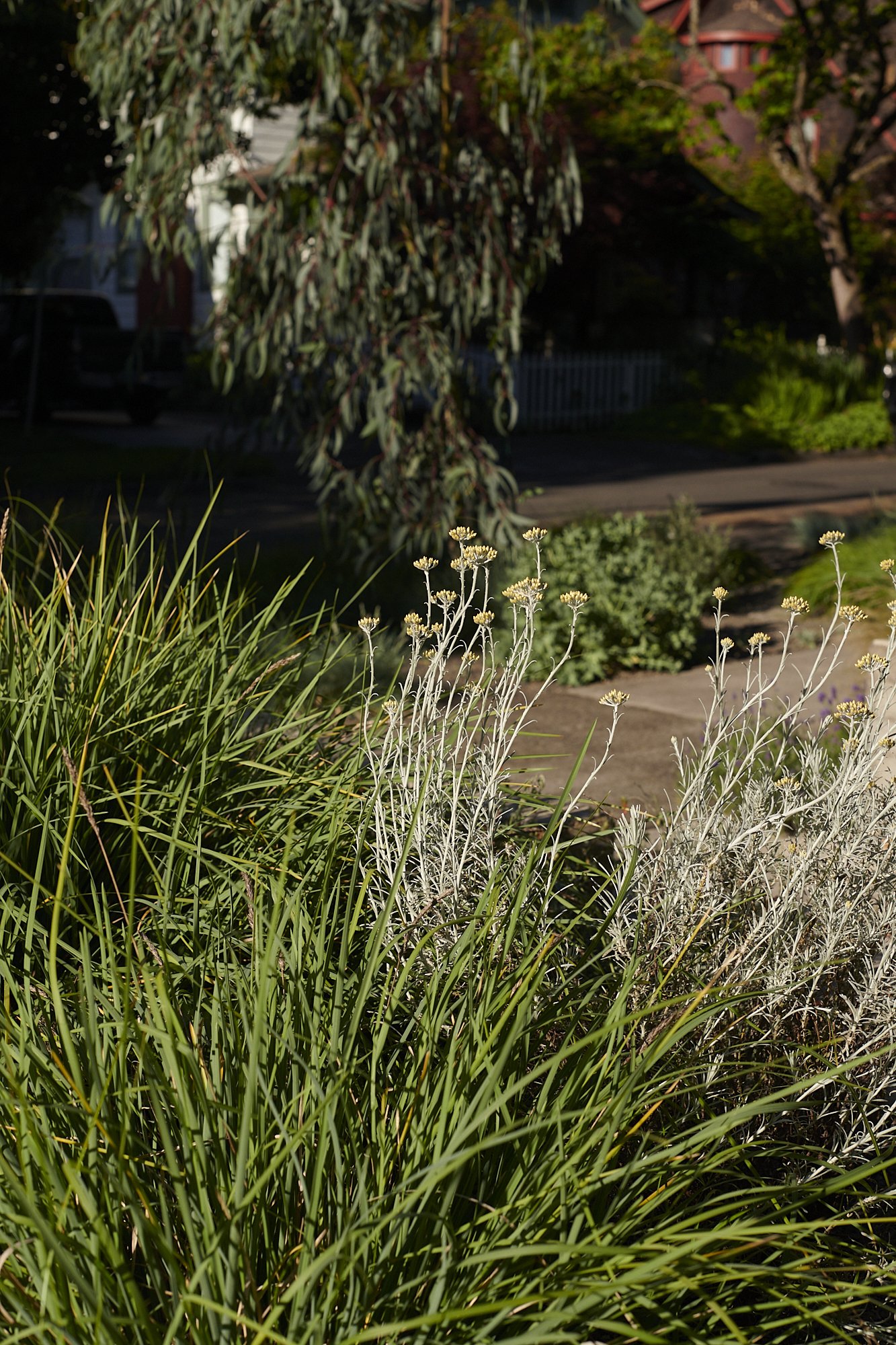 大型测试·大型狩猎之旅丨美国-13