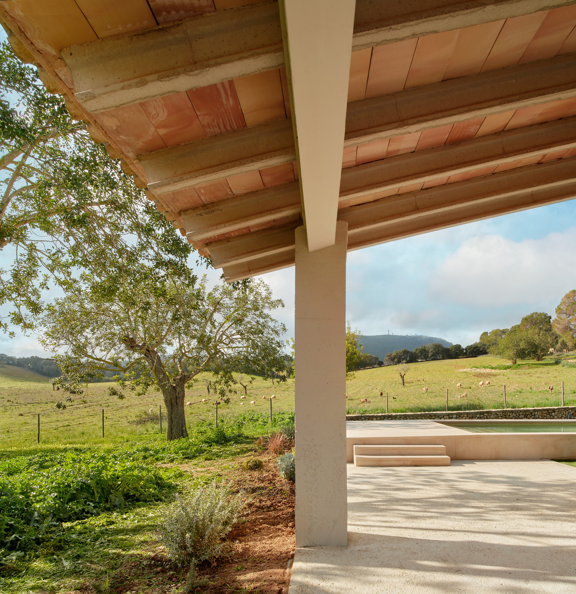 丨西班牙丨MIEL Arquitectos-20