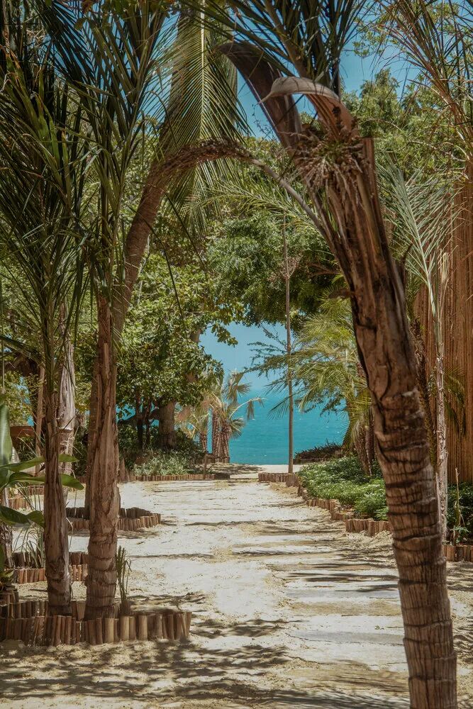 1367 m²海滨旅店-35