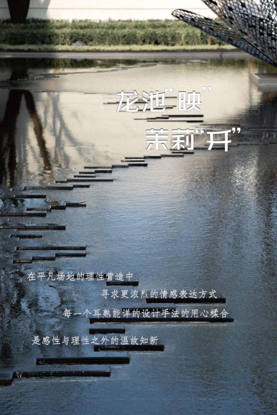 南京龙池映 | 方寸之间,容纳万物之情-3