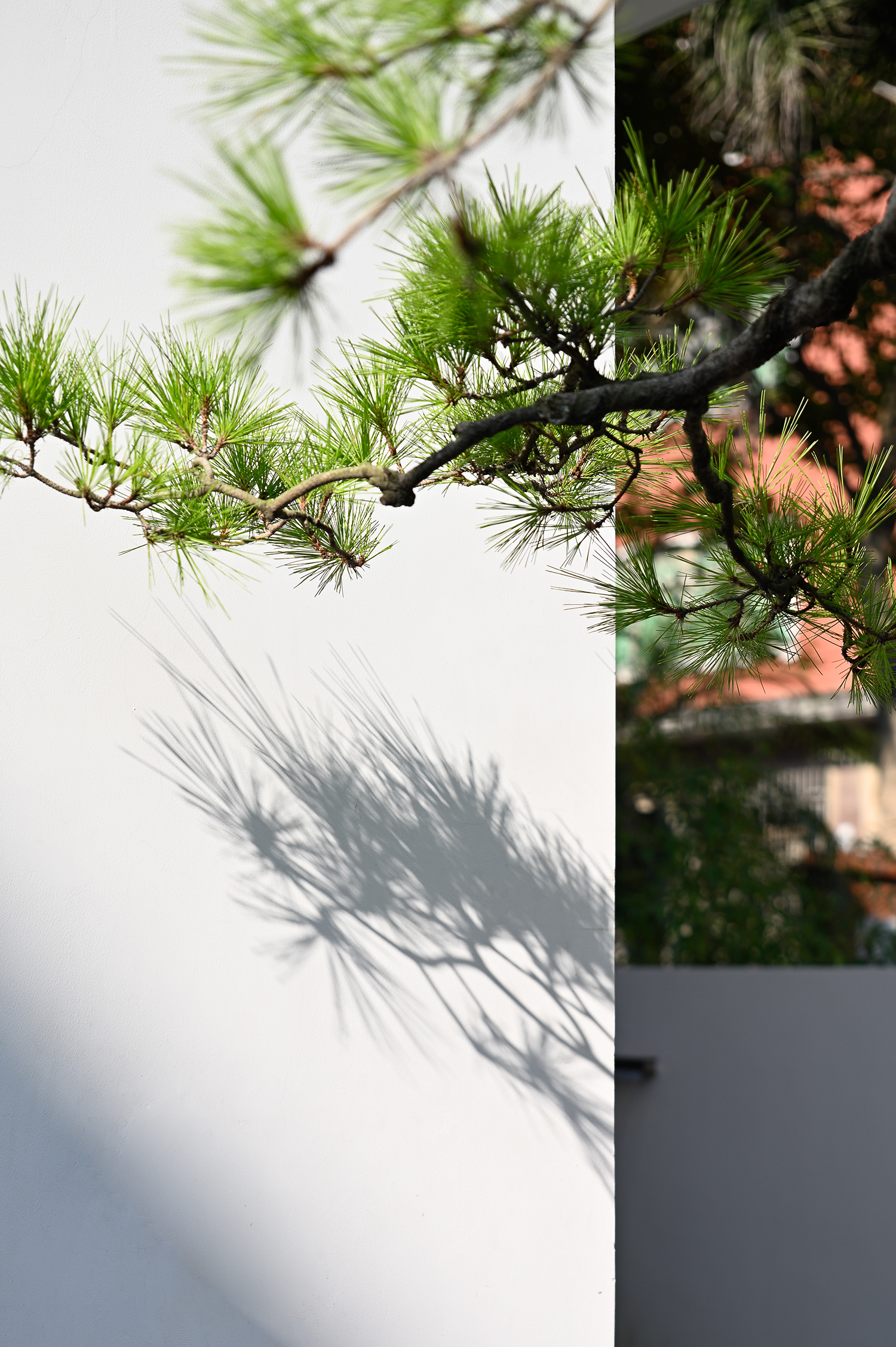 合而相生丨中国泉州丨墨问空间设计-5