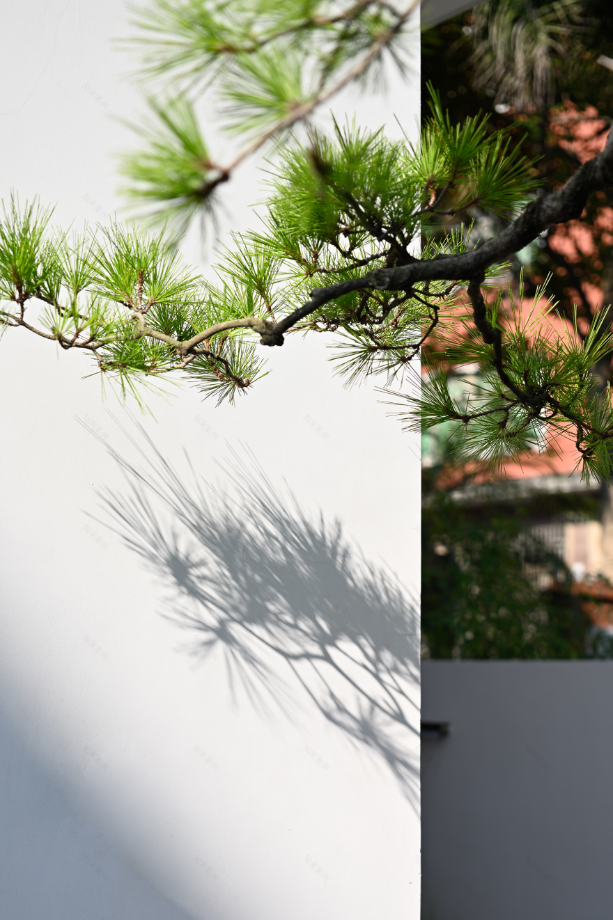 合而相生丨中国泉州丨墨问空间设计-5