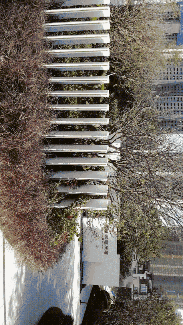 自然的魅力与艺术 | 广州龙湖 · 双珑原著-24