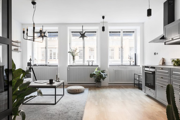 北欧工业风公寓 | 无彩色打造单身女子质感空间-1