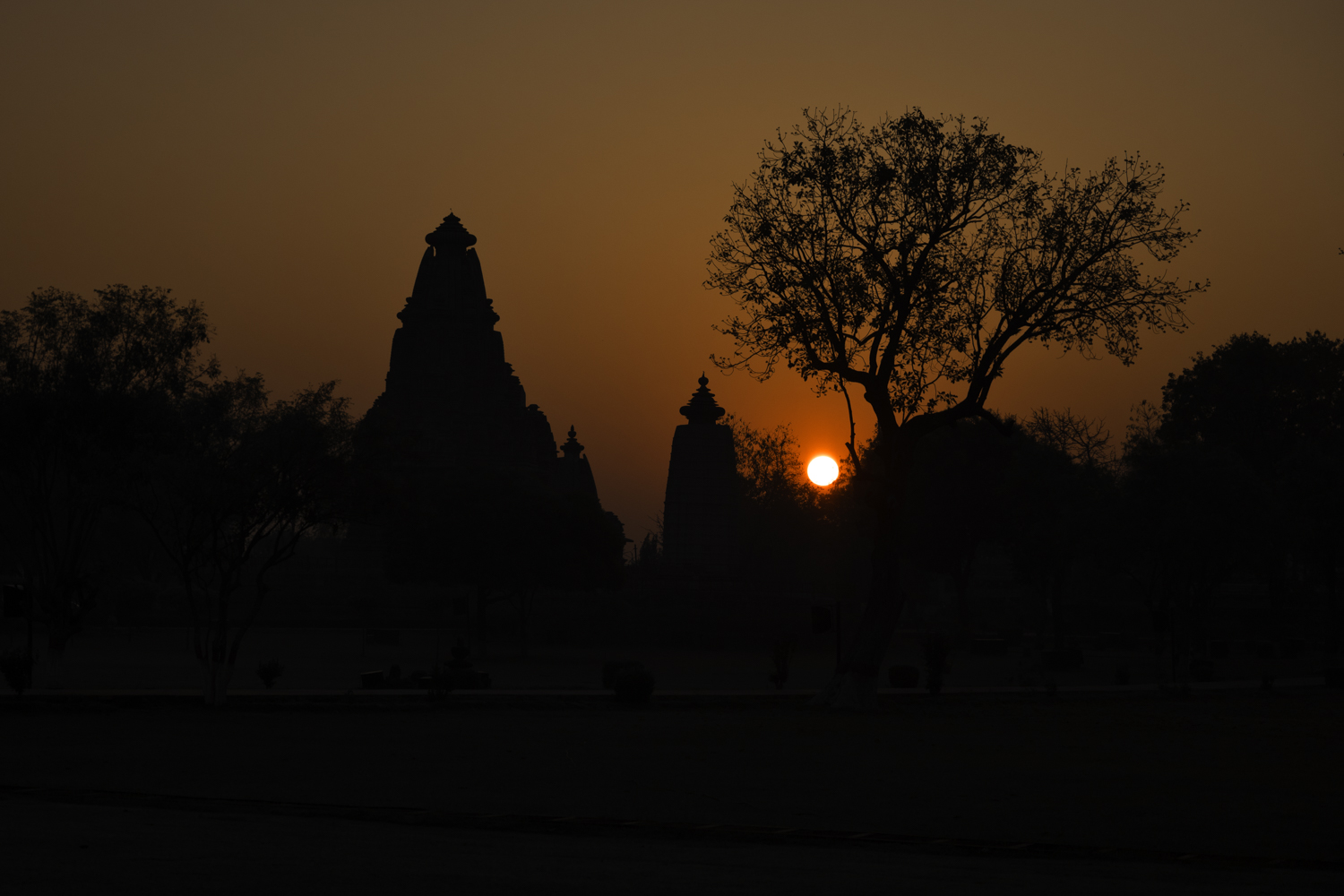 卡久拉霍到日出-4